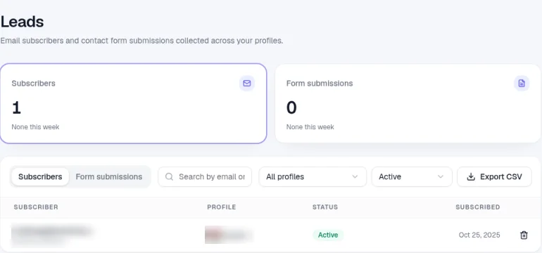 The Leads page with Subscribers and Form submissions cards, tabs for Subscribers and Form submissions, a search box, a profile filter, a status filter set to Active and an Export CSV button, and one active subscriber whose details are hidden