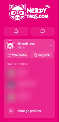 The account menu open in the sidebar, with View profile and Copy link buttons, a Switch Profile list and a Manage profiles option